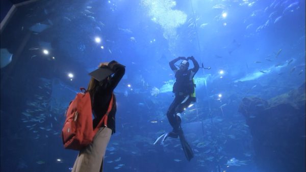 匂いを見る少女 (18)