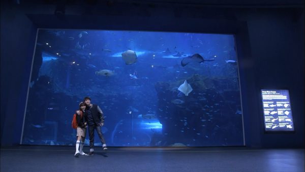 匂いを見る少女 (23)