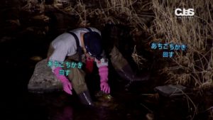 JYJ_japan.mp4_004677265